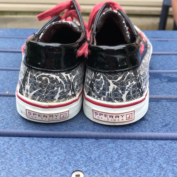 Sperry Top-sider - Picture 3 of 5